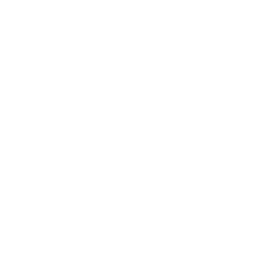 Perturbation-electromagnétique